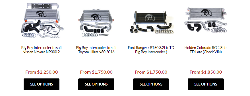 Legendex Big Boy intercooler upgrade kit