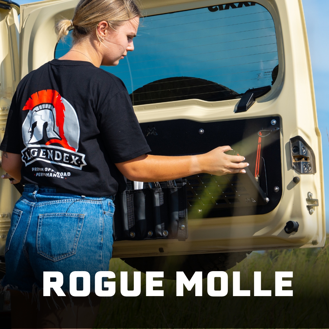 Rogue Molle