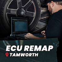 Legendex Custom Remap [TAMWORTH]